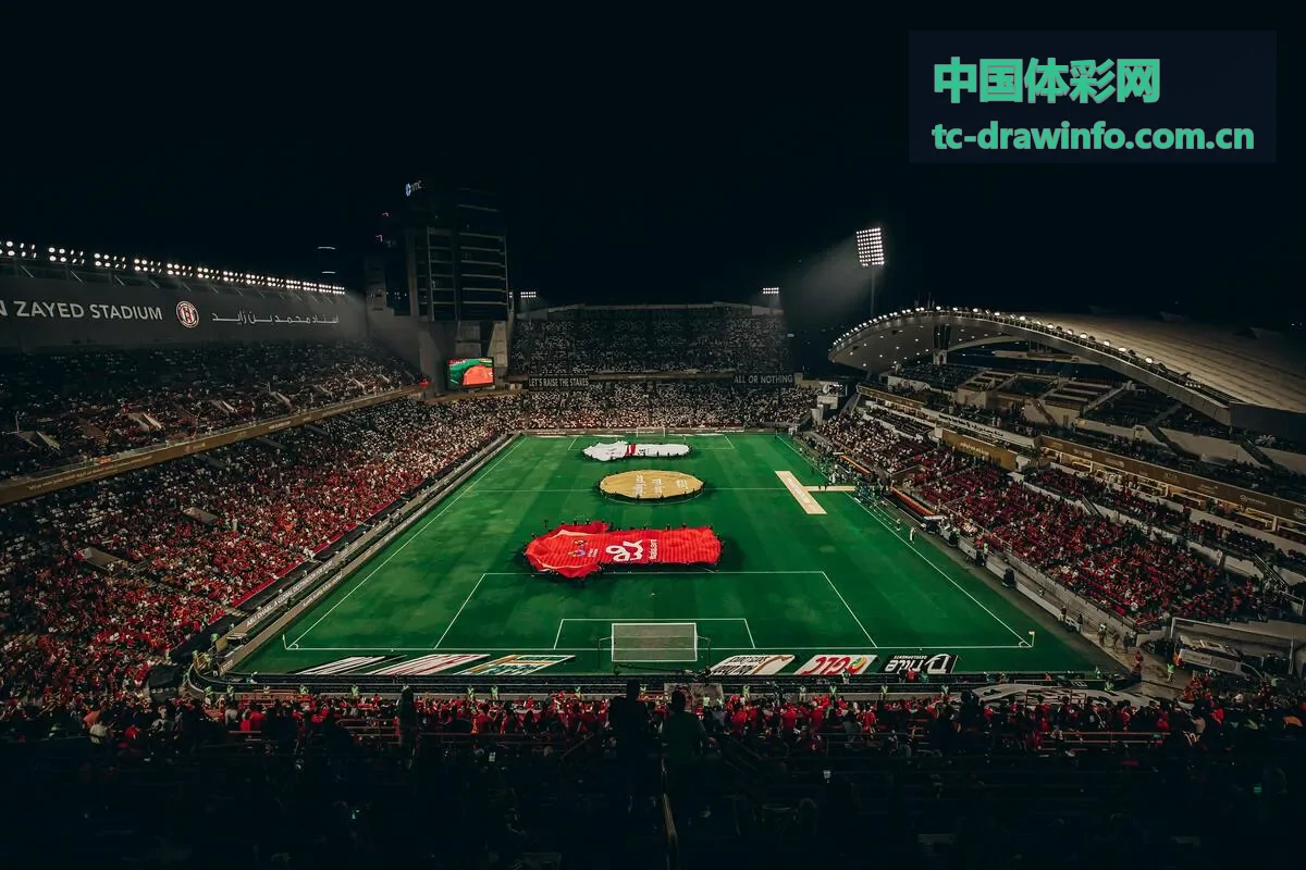 中国体彩网国家队观察封面图